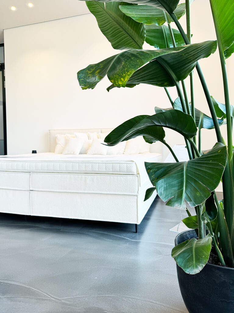 Mozart Showroom Nordhorn {{brizy_dc_image_alt imageSrc=